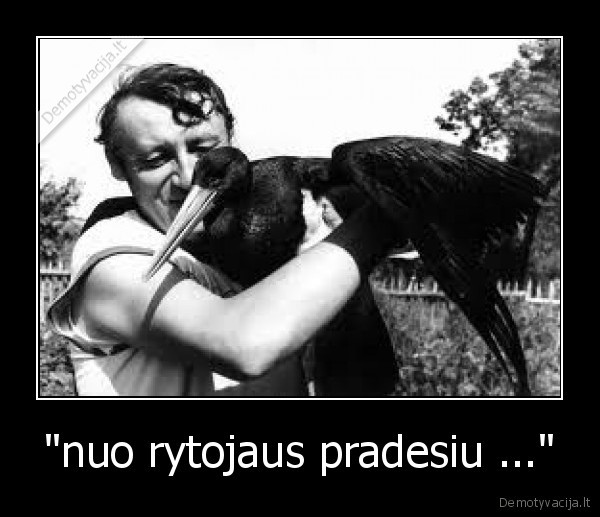 "nuo rytojaus pradesiu ..."