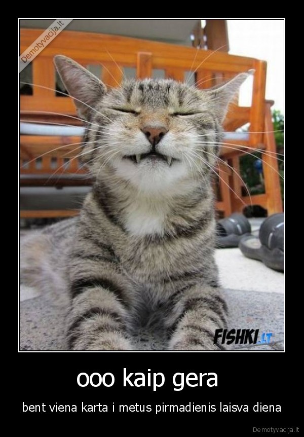 katinelis, murminelis, 