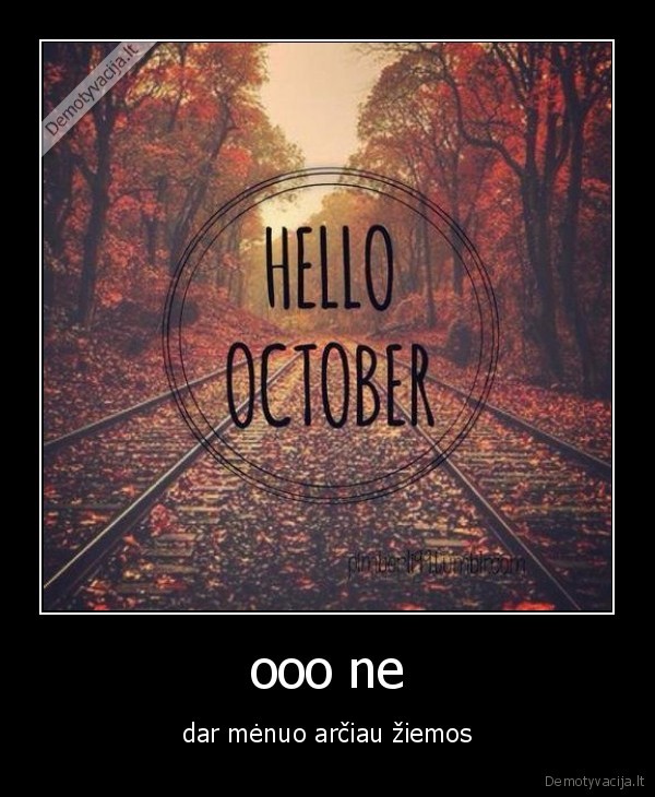 zieba,ruduo,menuo,lapai,sniegas,fu,salta