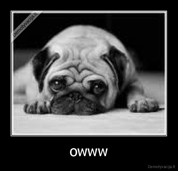 owww