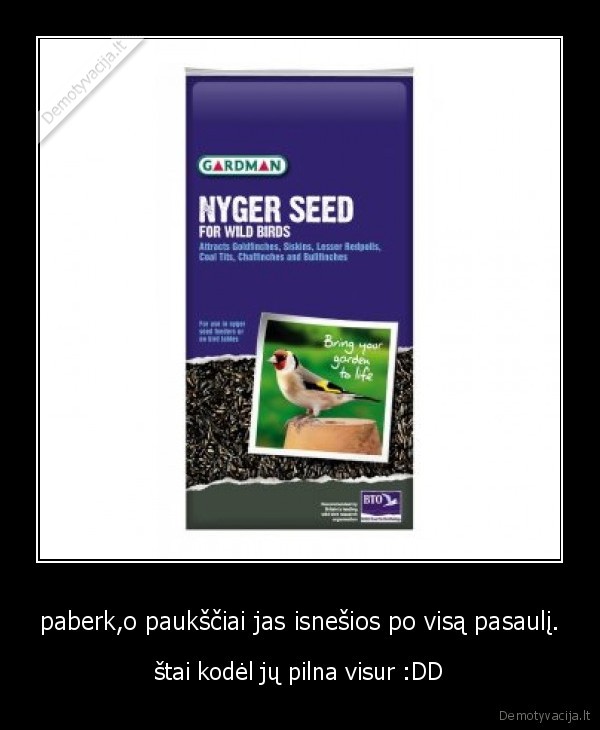 nygeriu, pilna, visur, ddd