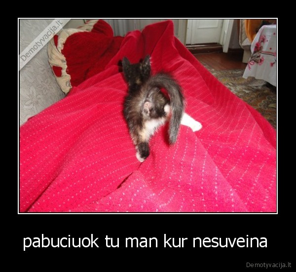 pabuciuok tu man kur nesuveina 