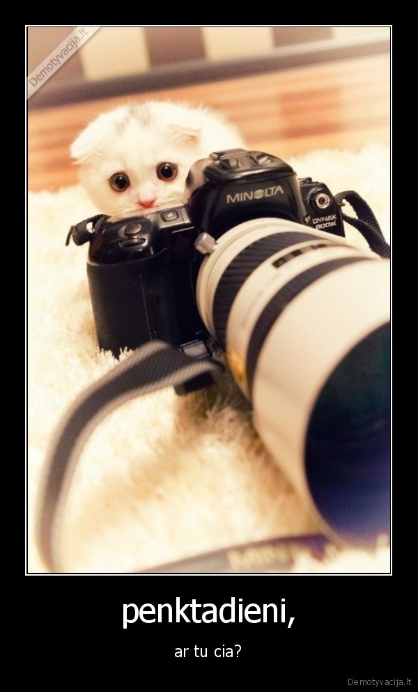 penktadieni,