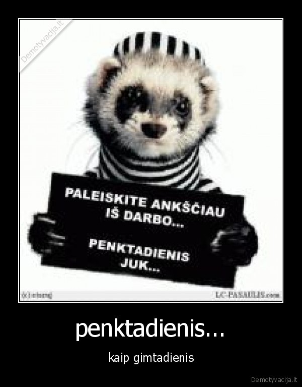 seskas,penktadienis,mokykla,atostogos,darbas