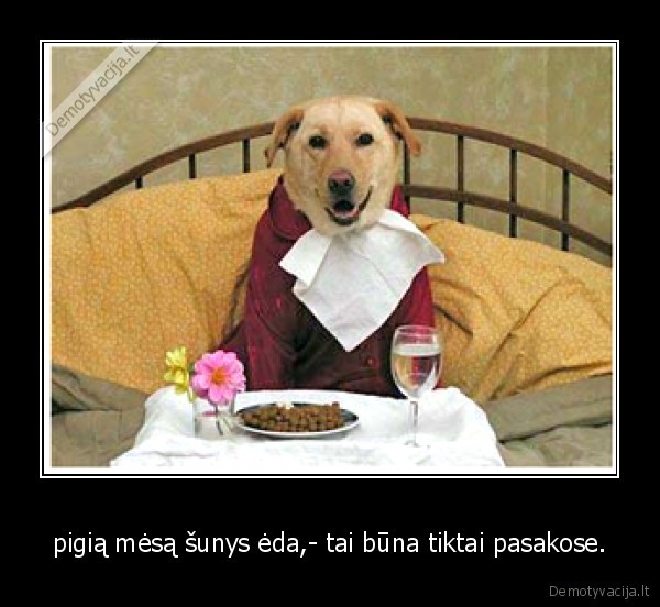 pigią mėsą šunys ėda,- tai būna tiktai pasakose.