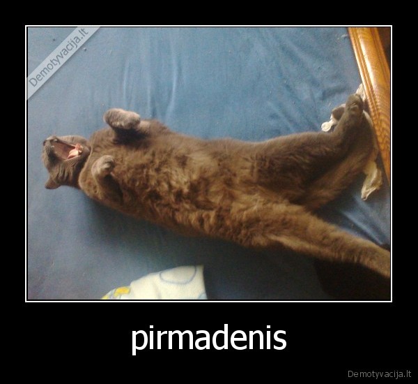 pirmadenis