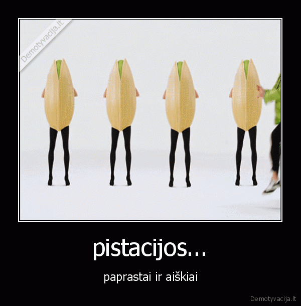 psy,gangnam, style,pistacijos,lolo,nesamone