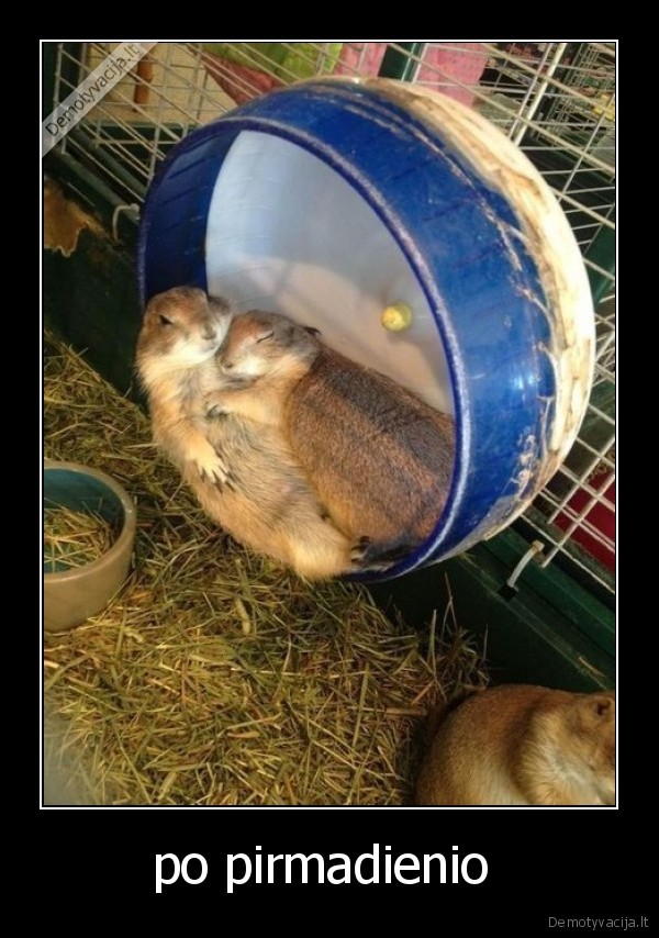po pirmadienio 
