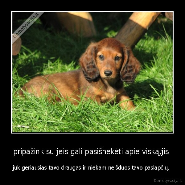 pripažink su jeis gali pasišnekėti apie viską,jis 