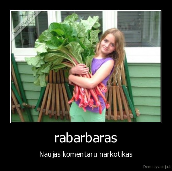 rabarbaras