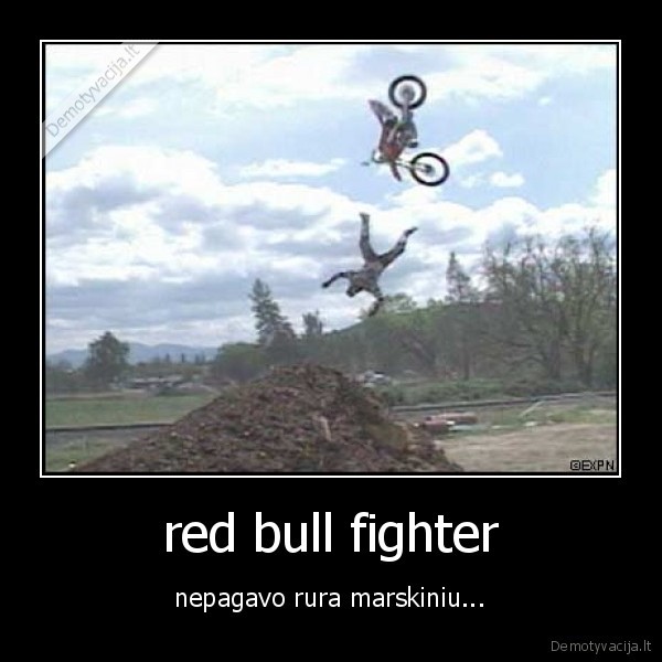 red bull fighter