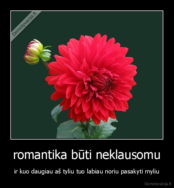 romantika būti neklausomu