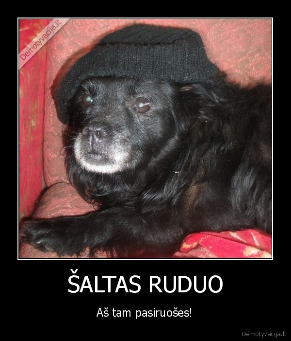 ŠALTAS RUDUO