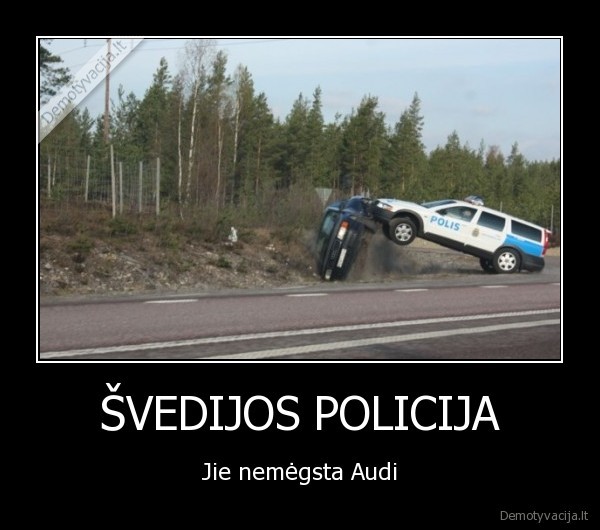 ŠVEDIJOS POLICIJA