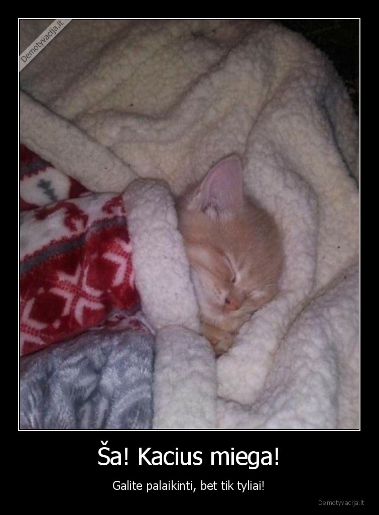 kacius,miega,mielas