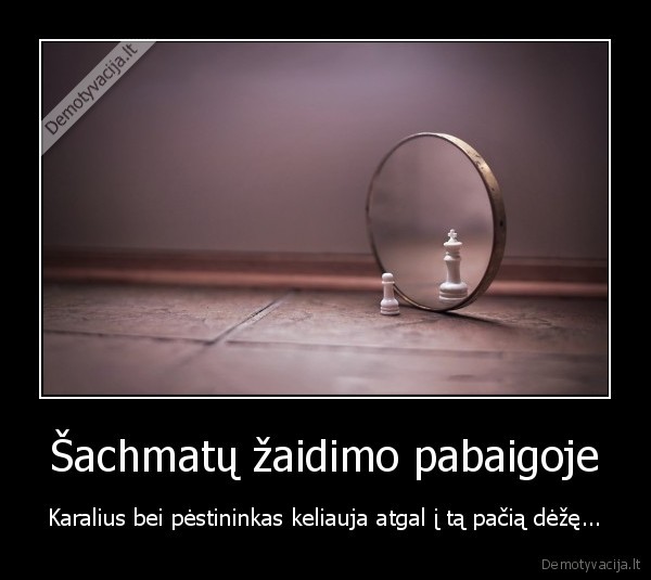 gyli,mintis,ne,visi,ja,supras,sachmatai,,gyvenimas