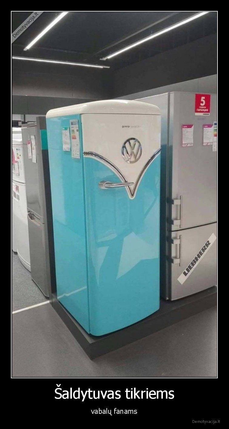 vabalistai,vabalai,saldytuvas,masina