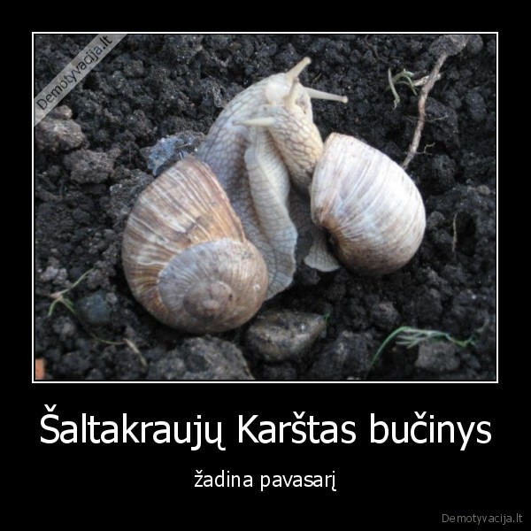 Šaltakraujų Karštas bučinys