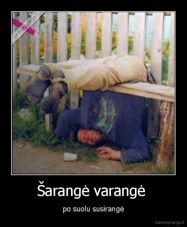 Šarangė varangė 