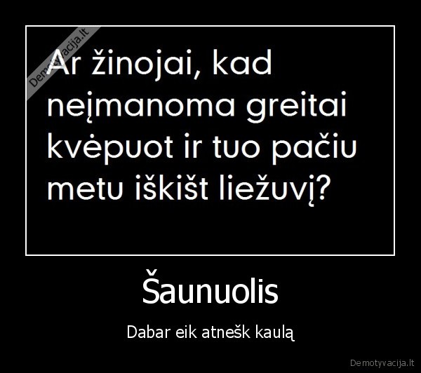 Šaunuolis