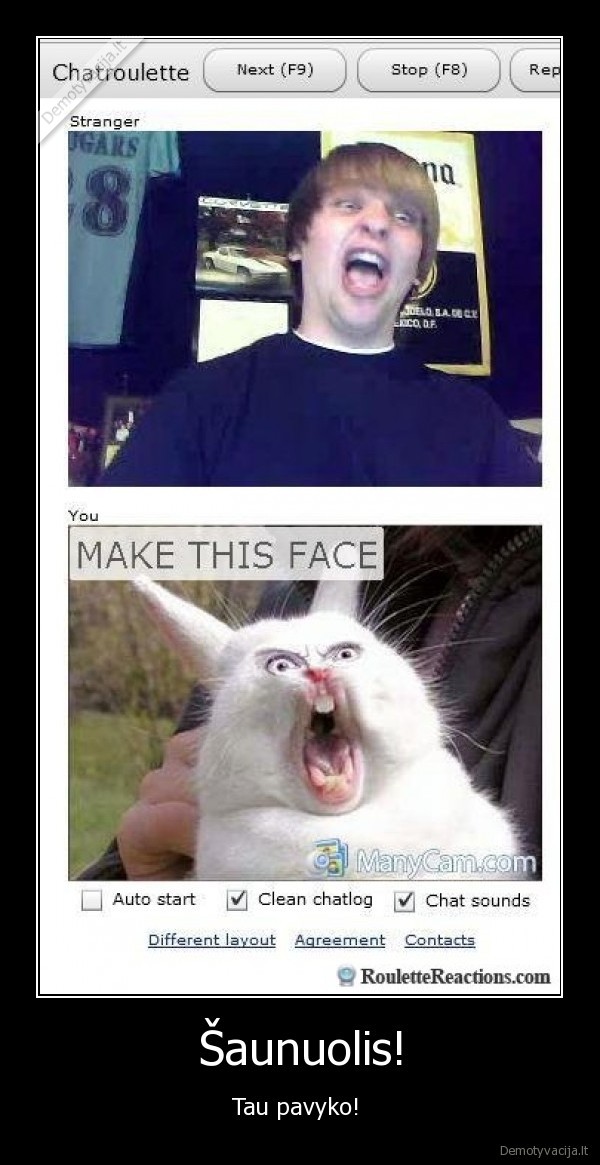 chat, roulette,pokalbis,video,kamera,kazkokia, baisi, kate,bicas