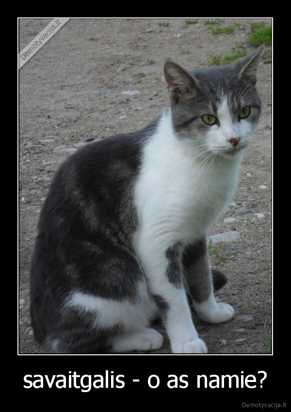 savaitgalis - o as namie?