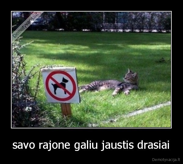 savo rajone galiu jaustis drasiai