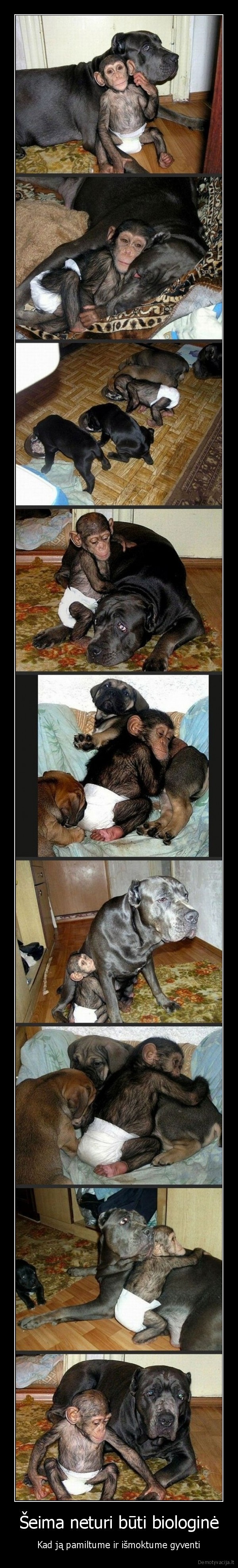 Šeima neturi būti biologinė