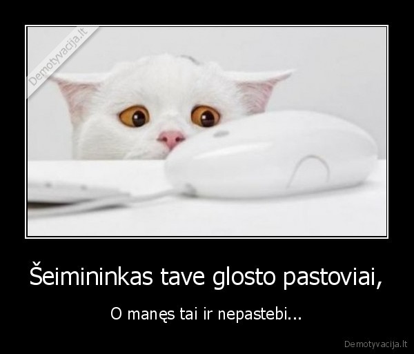 Šeimininkas tave glosto pastoviai,