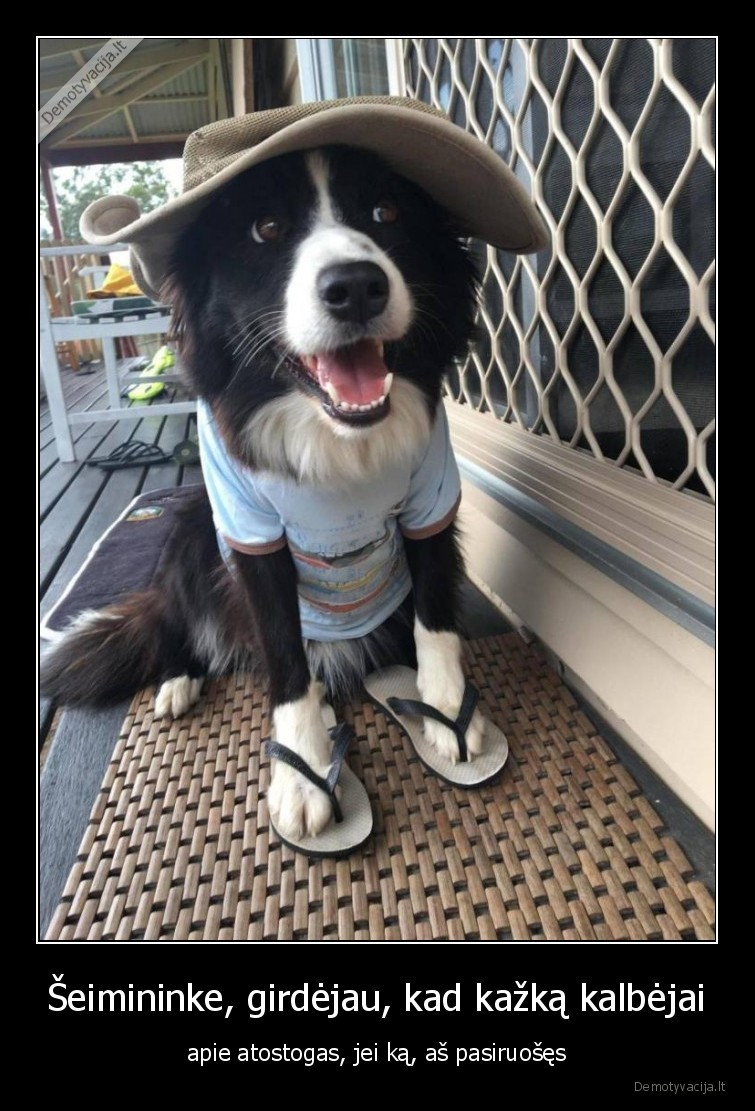 suo,atostogos,pasiruoses