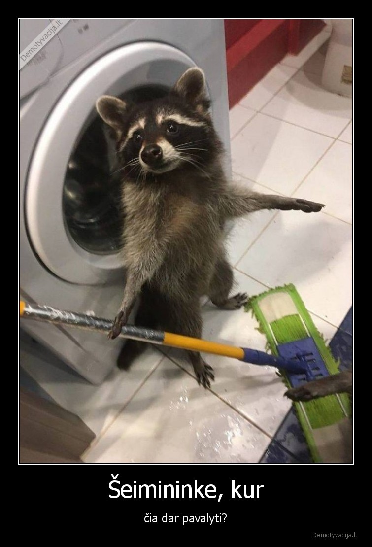 meskenas,seimininke,pavalyti