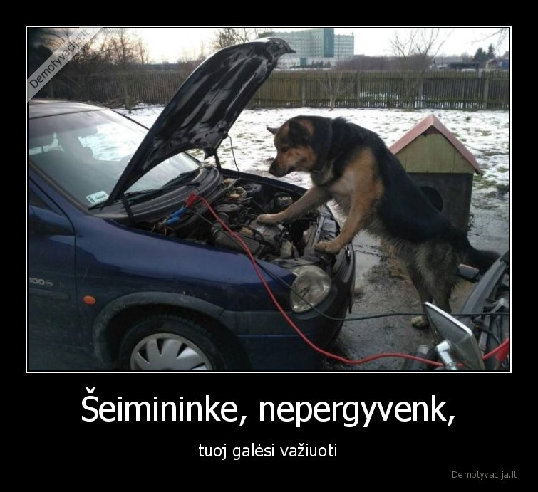 suo,seimininkas,masina,akumuliatorius