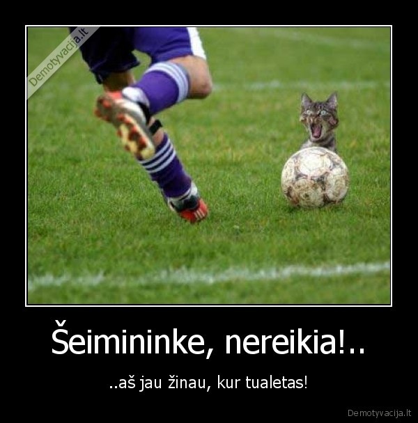 Šeimininke, nereikia!..