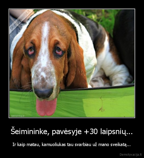 Šeimininke, pavėsyje +30 laipsnių...