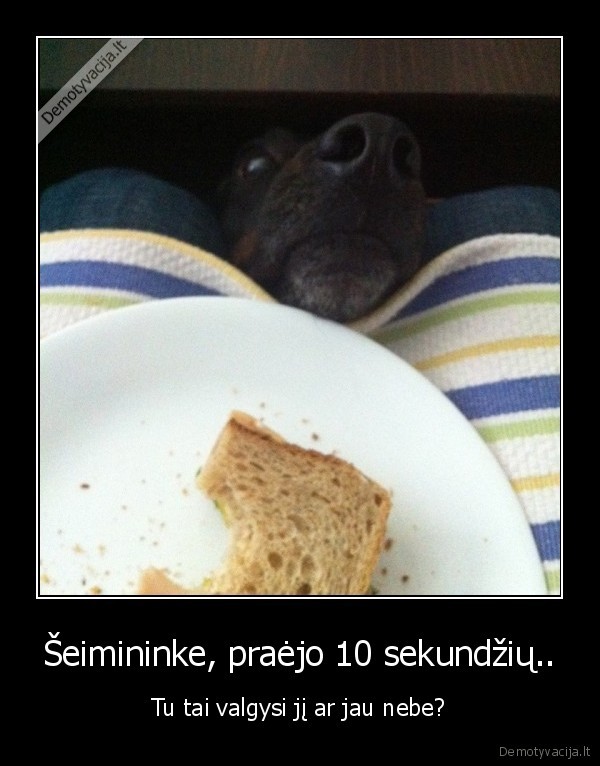 Šeimininke, praėjo 10 sekundžių..