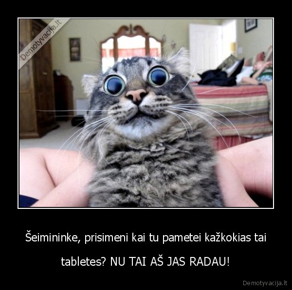 Šeimininke, prisimeni kai tu pametei kažkokias tai