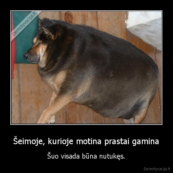 Šeimoje, kurioje motina prastai gamina