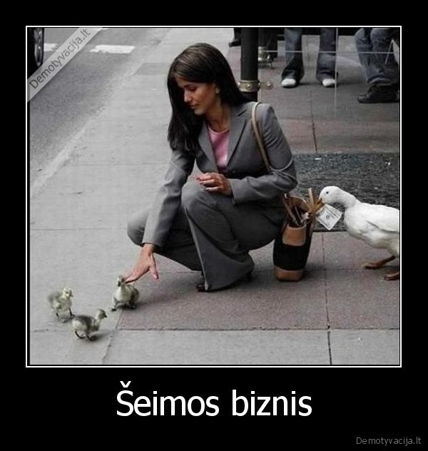 seimos,biznis,seima