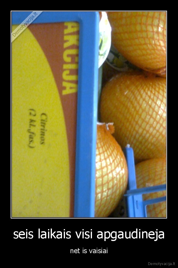 seis laikais visi apgaudineja