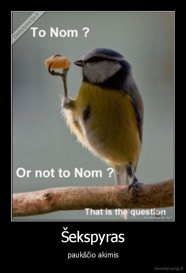 gyvenimas, nom, or, not, to, nom, hamletas