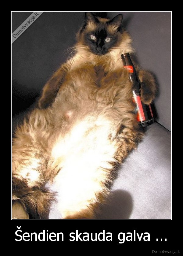 Šendien skauda galva ...