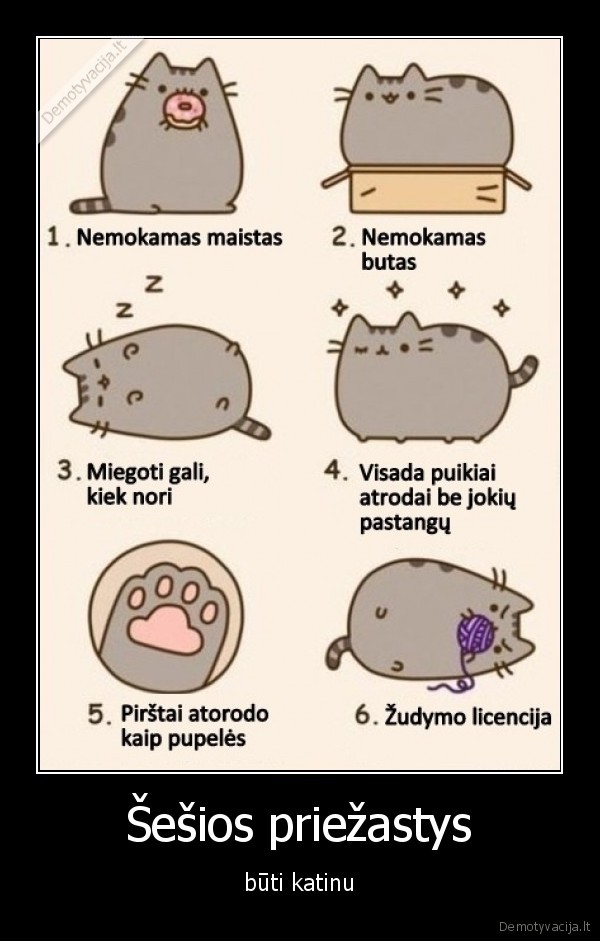 Šešios priežastys