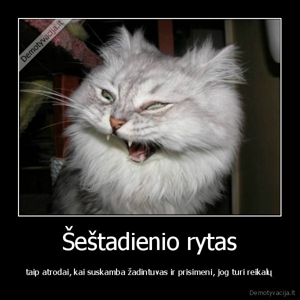 nuzudykit, zadintuva