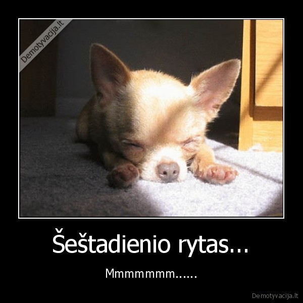 Šeštadienio rytas...