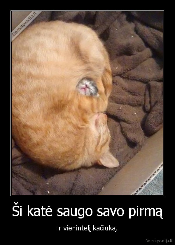 kate,motina, kate,kaciukas,miela, kate