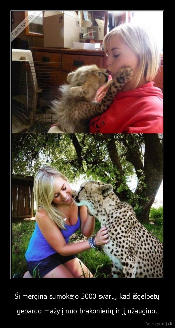 mergina,gepardas,mazylis,big, kitty