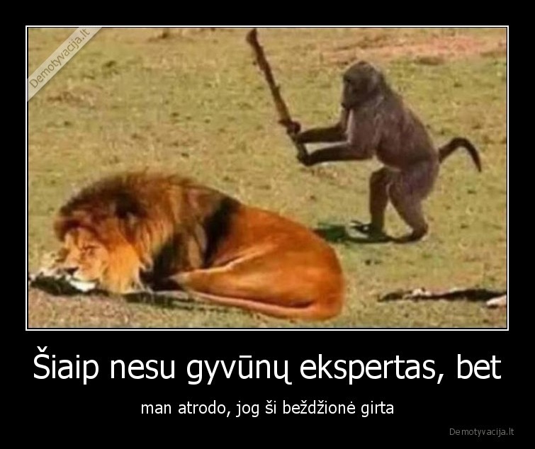 bezdzione,girta,ekspertas,gyvunu