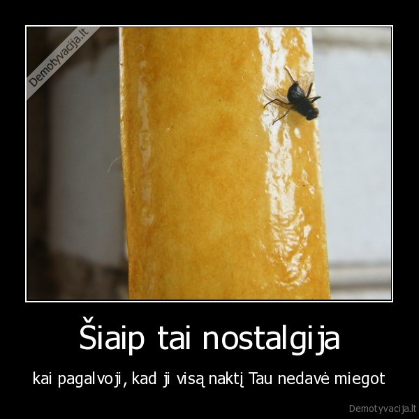 Šiaip tai nostalgija