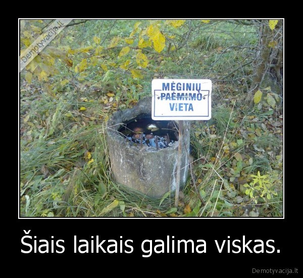 Šiais laikais galima viskas.