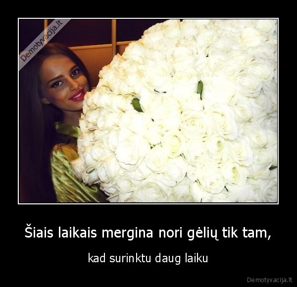 geriausios,geles,pinigu,kaladeles